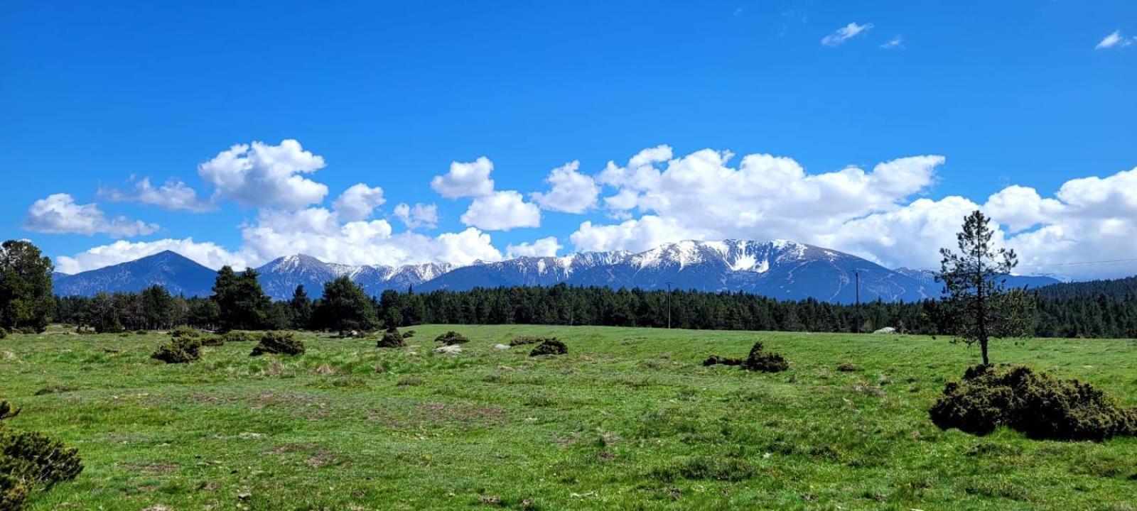T2 Pic De L'Ours Fontromeu Apartment Bagian luar foto